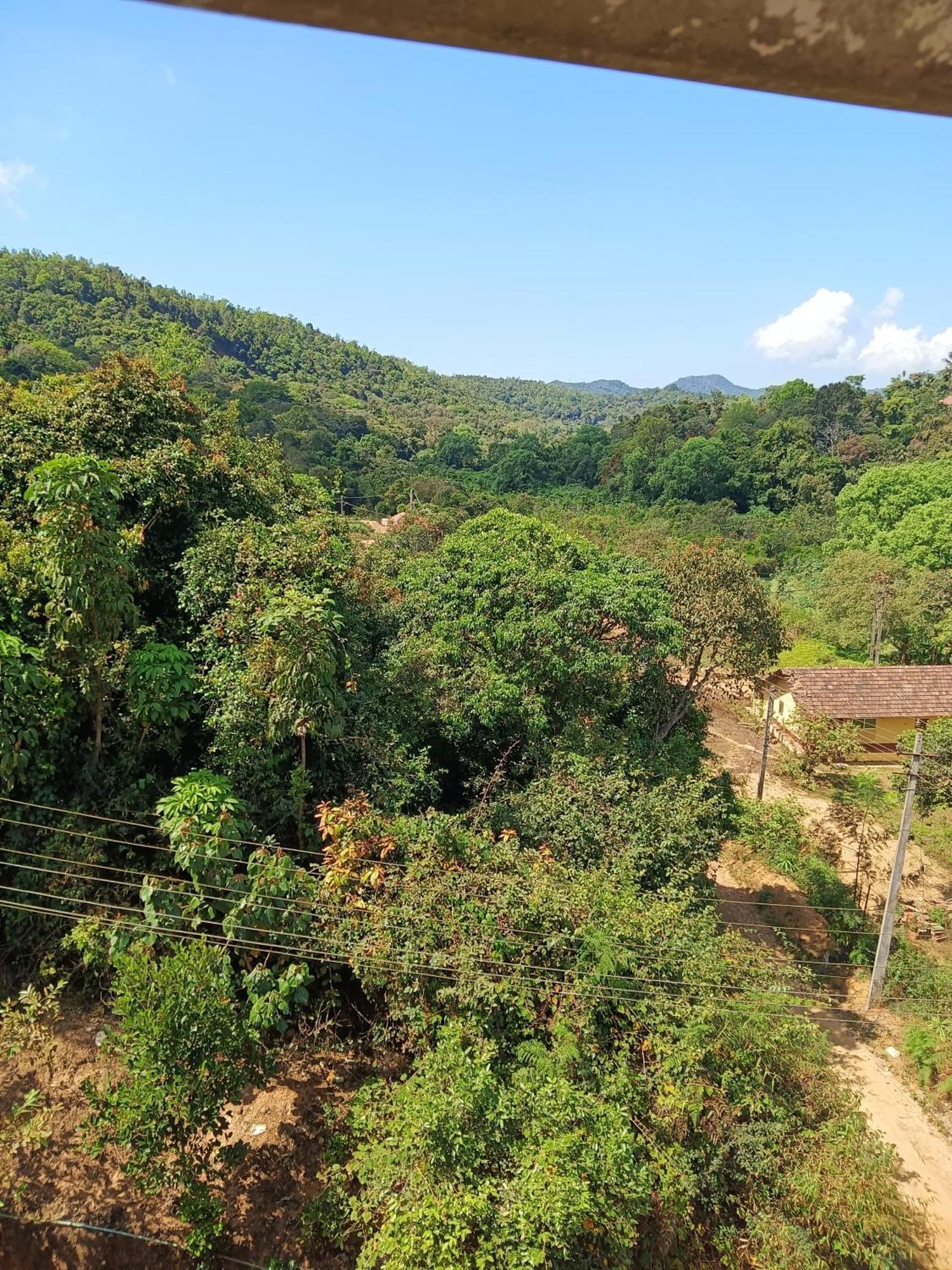Coorg Vacation Stay 马迪凯里 外观 照片